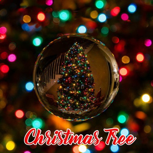 Musiques libre de droit O Christmas Tree