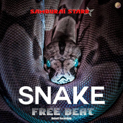 Musiques libre de droit Snake