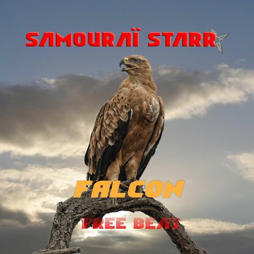 Falcon | Free beat 2022 for Profit