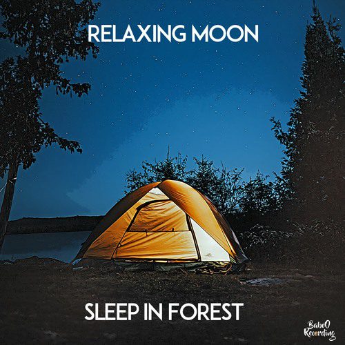 Sleep In Forest